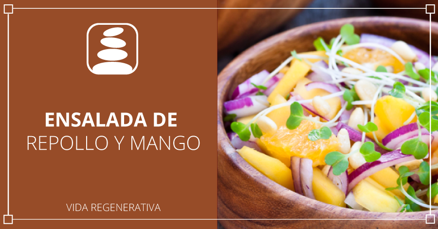 ensalada de repollo y mango