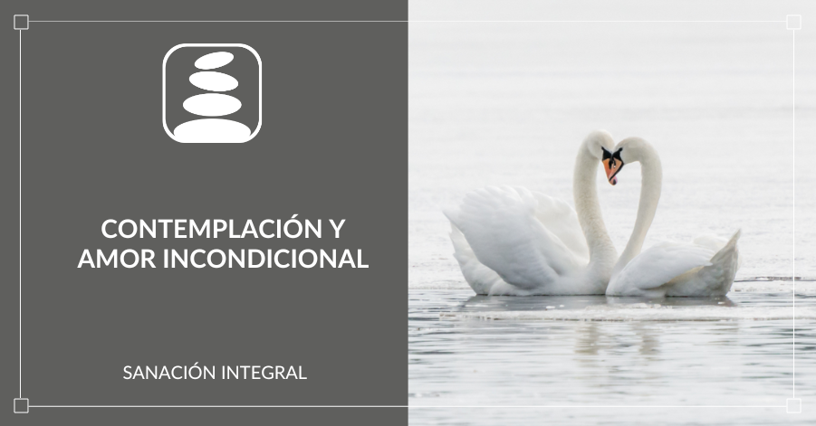 contemplación